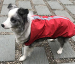 New dog raincoat waterproof vest outdoor pet clothes