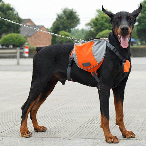 Oxford cloth pet pannier