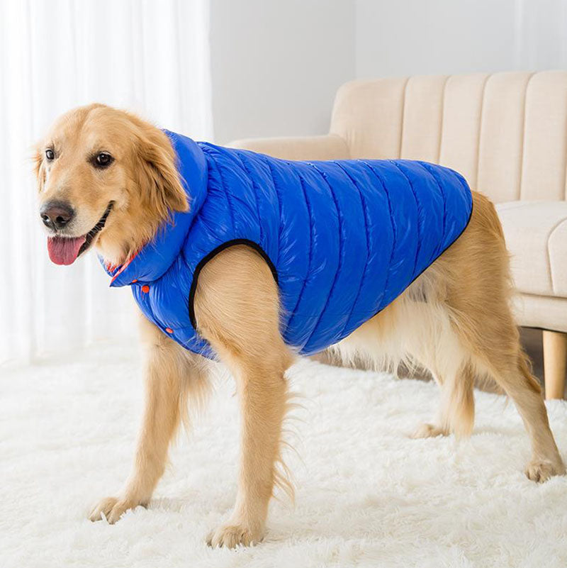 Abrigo de algodón de perro mediano grande de otoño e invierno, ambos lados  usan ropa
