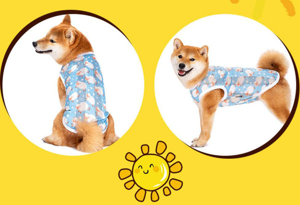 中型・大型犬用薄手の春秋ゴールデンレトリバーラブラドール芝ペットサマーシャツ