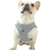 Pet Small Dog Reflective Vest Chest Strap Pet Leash