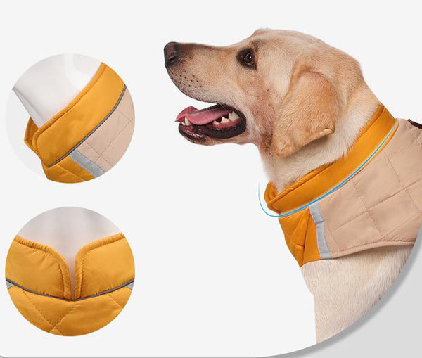 Bull dog New Winter Dog Clothes Thickened Reflective Dog Cotton Coat