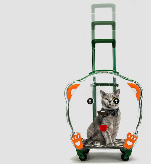 Nueva maleta trolley transparente para perros y gatos