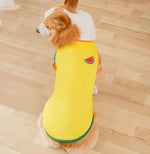 Gilet de printemps fin d'été Corgibago Fadou