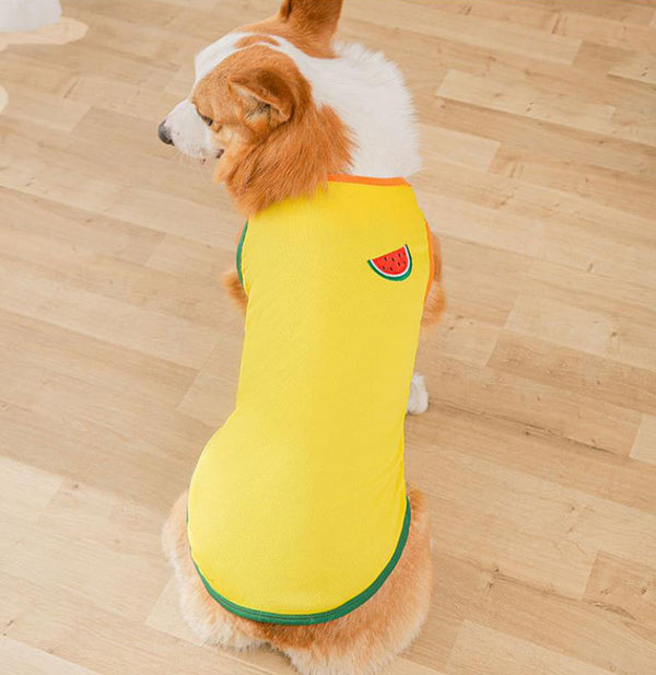 Gilet de printemps fin d'été Corgibago Fadou