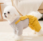 Puppy four feet autumn and winter clothes