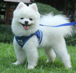 Pet Small Dog Reflective Vest Chest Strap Pet Leash