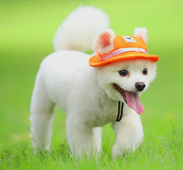 Mesh breathable sun hat cat and dog top hat princess hat