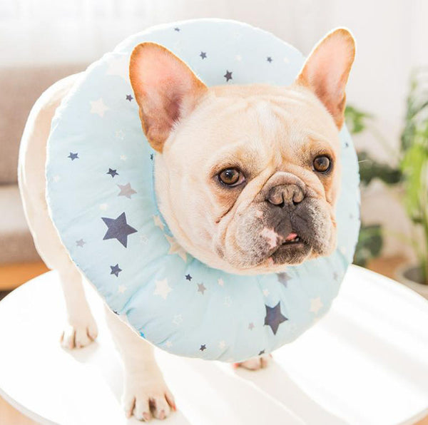 Elizabeth soft cute collar headgear