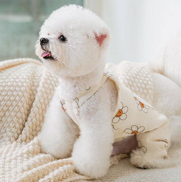Autumn and winter new puppy clothes sunflower suspenders four-legged overalls