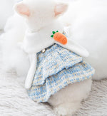 New small dog autumn and winter dress