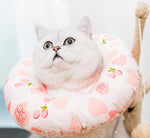 Elizabeth soft cute collar headgear