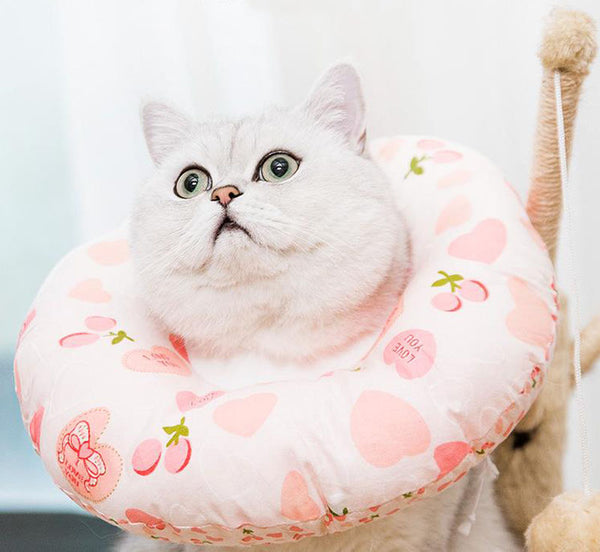 Elizabeth soft cute collar headgear