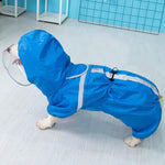 Corgi dog raincoat