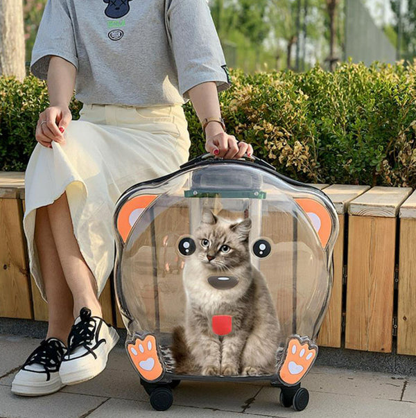 Nueva maleta trolley transparente para perros y gatos