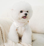 Autumn and winter new puppy clothes sunflower suspenders four-legged overalls