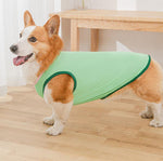 Gilet de printemps fin d'été Corgibago Fadou