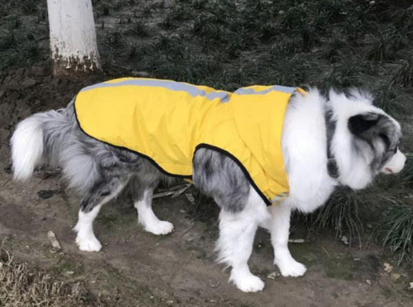 New dog raincoat waterproof vest outdoor pet clothes