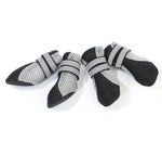 Kleine Hundewanderschuhe