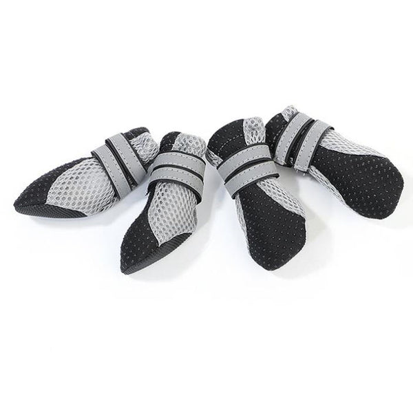 Kleine Hundewanderschuhe
