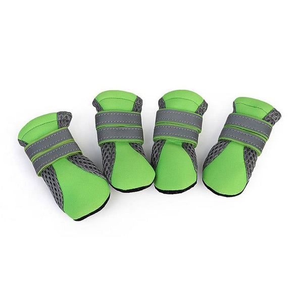 Kleine Hundewanderschuhe