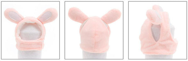 Cat headgear