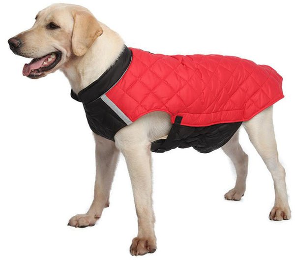 Bull dog New Winter Dog Clothes Thickened Reflective Dog Cotton Coat