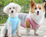 Corgi Cooling Vest Coole Sommerhaustierkleidung