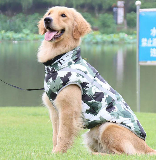 ropa para mascotas otoño e invierno nuevas chaquetas deportivas al aire libre, trajes a prueba de frío, impermeables impermeables, ropa de esquí
