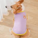 Gilet de printemps fin d'été Corgibago Fadou