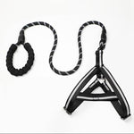 Puppy medium dog leash