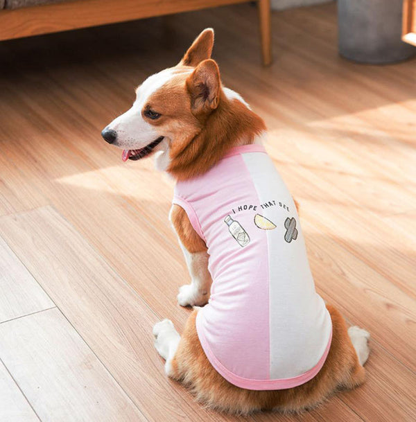 Gilet de printemps fin d'été Corgibago Fadou