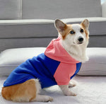 Corgi dog clothes spring and autumn thin section small and medium-sized dog autumn hair loss prevention pet