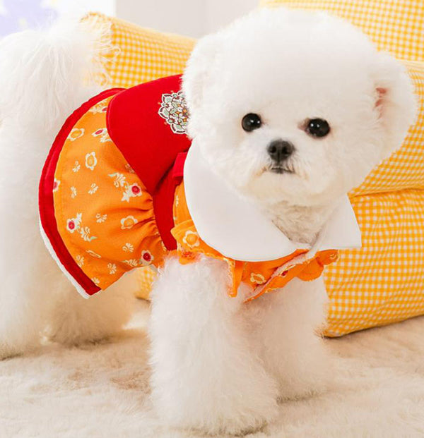 New small dog autumn and winter dress
