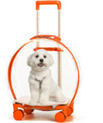 Pet trolley case out portable transparent cat and dog bag multifunctional pet backpack