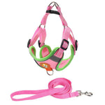 Reflective breathable leash for pet chest harness