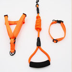Puppy medium dog leash
