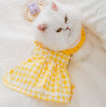Cat skirt