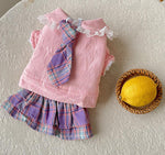New small dog autumn and winter dress