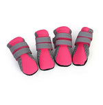 Kleine Hundewanderschuhe