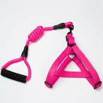 Puppy medium dog leash