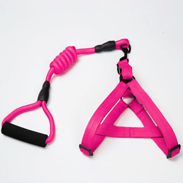 Puppy medium dog leash